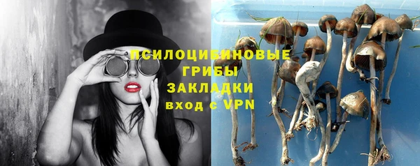 меф Алексин