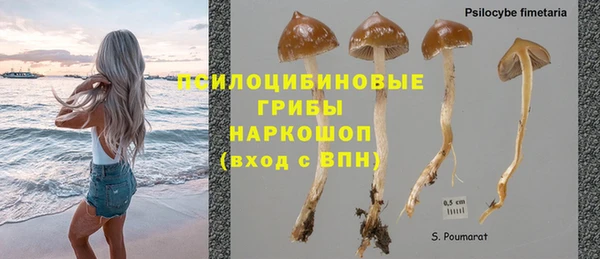 дживик Алзамай