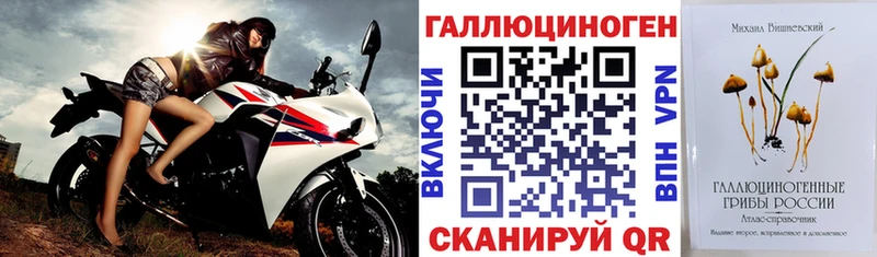 Галлюциногенные грибы Psilocybe  Алупка 